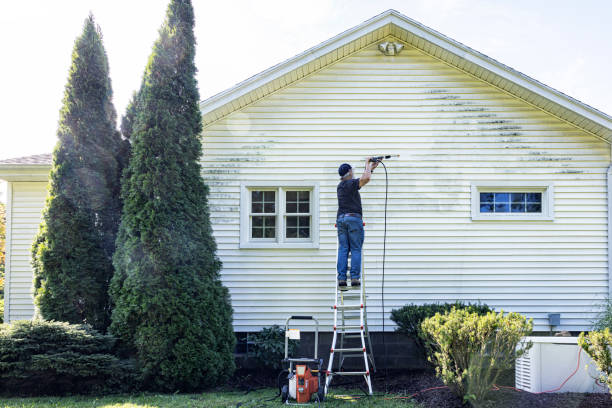 Best Building Exterior Washing  in Mckee City, NJ